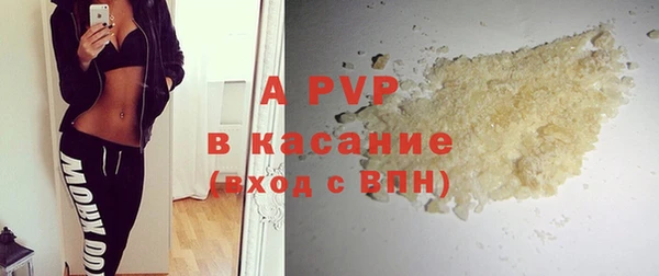 шишки Абаза