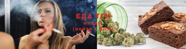 шишки Абаза